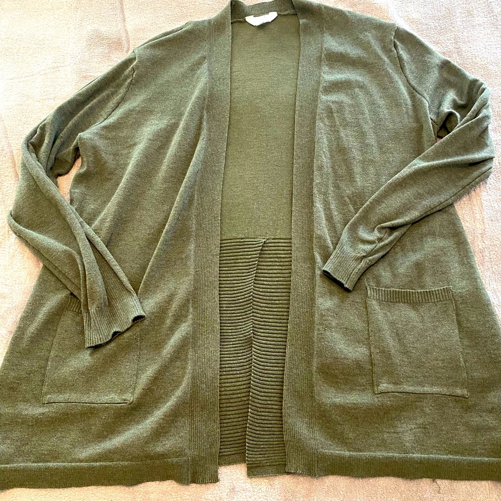 Womens Time and Tru cardigan (L)